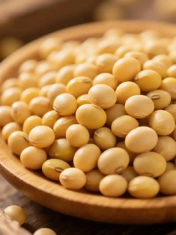 大豆